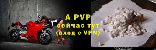 эйфоретик Ростов