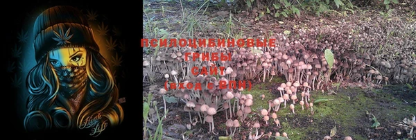 PSILOCYBIN Нея