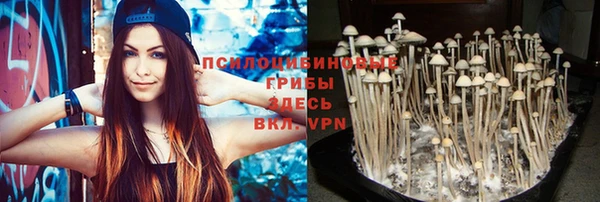твердый Дедовск
