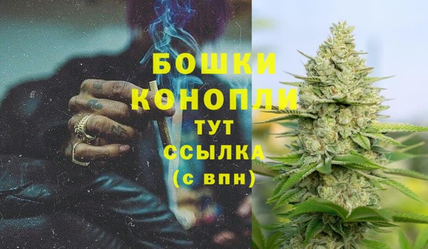 твердый Дедовск