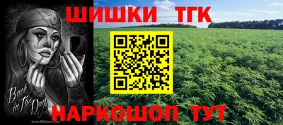 индика Балаково