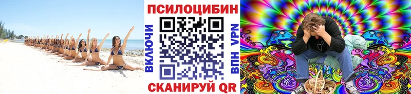 наркота  Павловский Посад  Галлюциногенные грибы MAGIC MUSHROOMS 