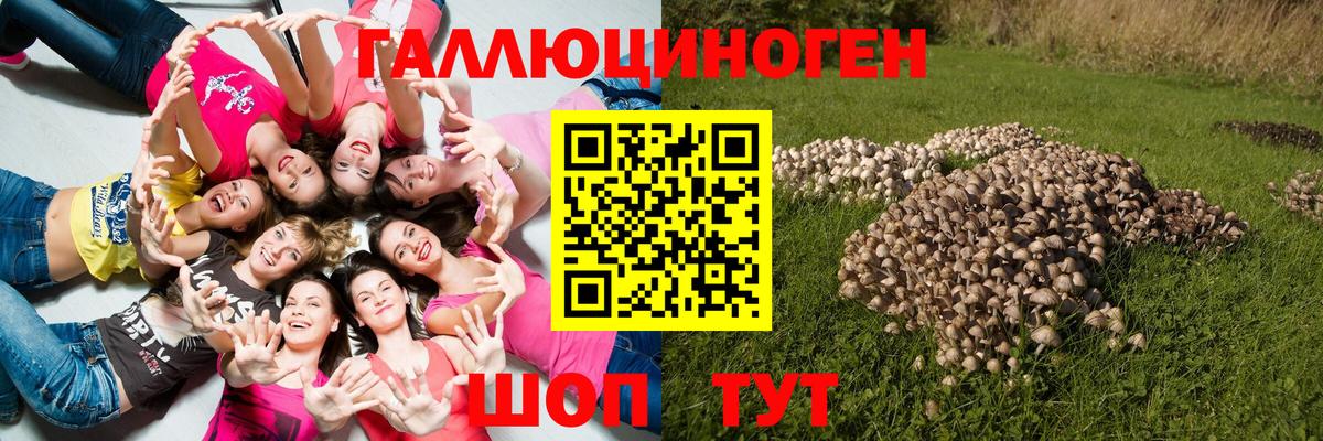 Бошки Шишки  КОКАИН  Меф МЯУ МЯУ   Гашиш  A PVP СК кристаллы  Павловский Посад  Мефедрон кристаллы 