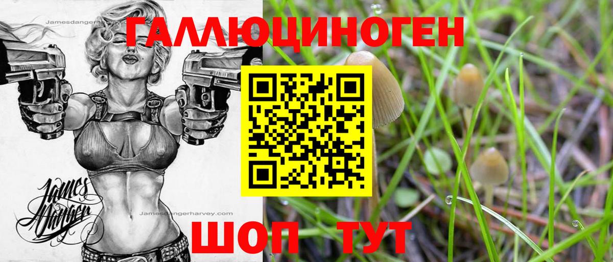 Псилоцибиновые грибы Psilocybine cubensis  Павловский Посад  Псилоцибиновые грибы Cubensis 