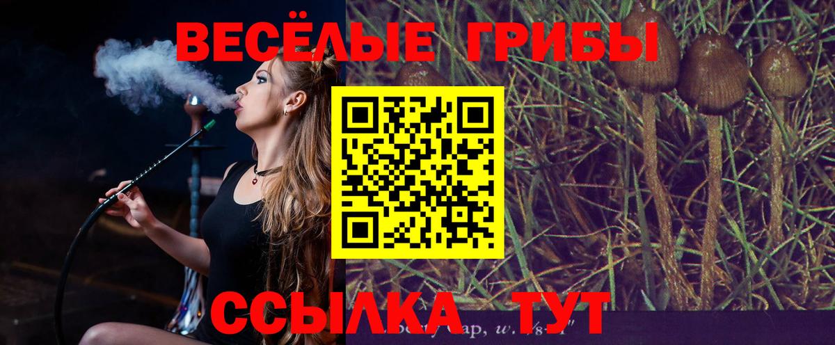 Галлюциногенные грибы Cubensis Павловский Посад