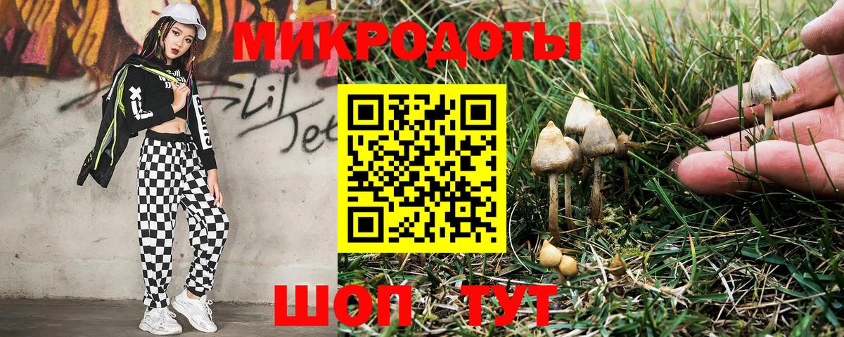 Павловский Посад  Галлюциногенные грибы прущие грибы  Вход с VPN  наркота  Галлюциногенные грибы прущие грибы 