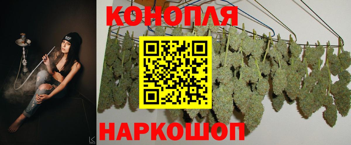 Канабис сатива  Конопля ГИДРОПОН  Павловский Посад  Вход с VPN 